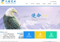 河南天財實(shí)業(yè)有限公司網(wǎng)站正式上線(xiàn)